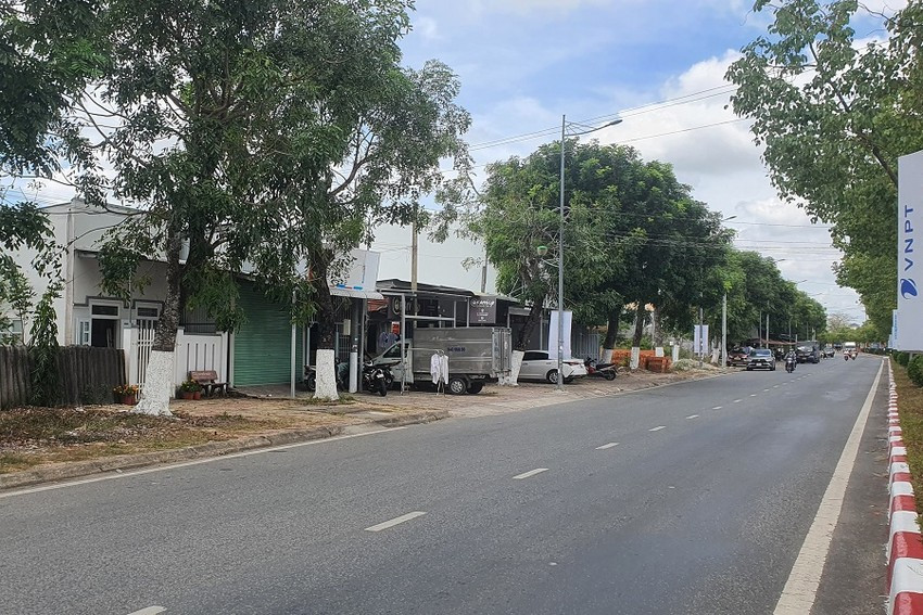 Toàn dãy phố trên đường Tôn Đức Thắng xà cừ cùng tuổi vẫn xanh tốt. Ảnh: TRẦN VŨ Toàn dãy phố trên đường Tôn Đức Thắng xà cừ cùng tuổi vẫn xanh tốt. Ảnh: TRẦN VŨ