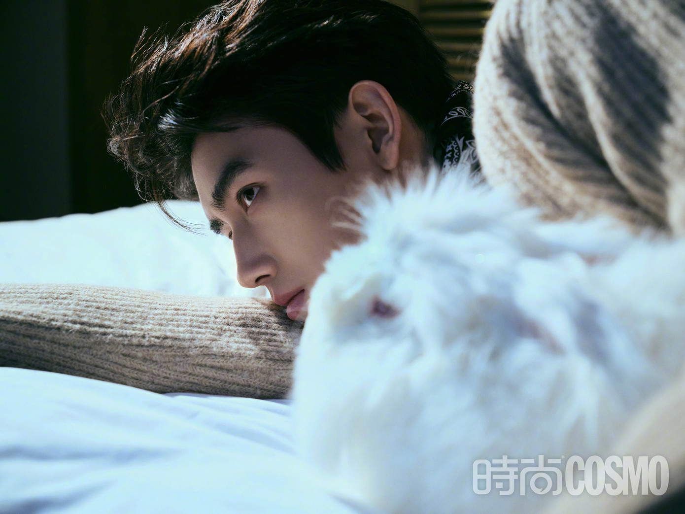 Có thông tin cho biết cô gái vướng tin tình ái với Trần Phi Vũ họ Hồ, là người Thành Đô, làm nghề trang điểm. Cô này là người đứng đầu fansite của nam diễn viên từ năm 2017, thời điểm anh đóng Bí quả, thường hay theo chân anh trong các sự kiện, hoạt động, phim trường. FC chính thức của Trần Phi Vũ từng đăng video phỏng vấn cô gái này. Có thông tin cho biết cô gái vướng tin tình ái với Trần Phi Vũ họ Hồ, là người Thành Đô, làm nghề trang điểm. Cô này là người đứng đầu fansite của nam diễn viên từ năm 2017, thời điểm anh đóng Bí quả, thường hay theo chân anh trong các sự kiện, hoạt động, phim trường. FC chính thức của Trần Phi Vũ từng đăng video phỏng vấn cô gái này.