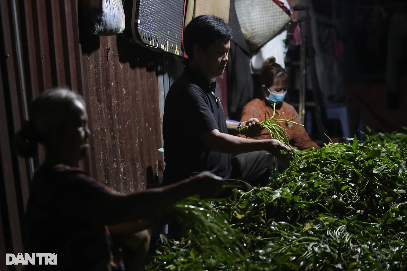 Xóm nhặt rau muống thuê ở đây đã hình thành hơn chục năm nay, chủ yếu là người lao động từ các tỉnh miền Tây lên TPHCM lập nghiệp. "Ngoại cũng già rồi, không ngồi được lâu nên làm từ nửa đêm đến rạng sáng là phải nghỉ. Thức đêm nhiều mệt lắm nhưng ngoại cũng cố gắng để kiếm tiền sống qua ngày", bà Phượng (68 tuổi) chia sẻ.