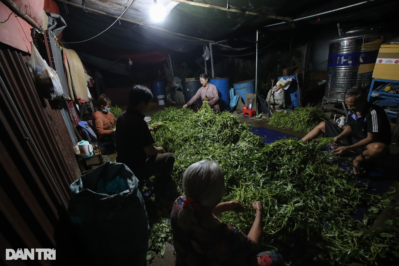Xóm nhỏ ở hẻm 119 đường Tam Bình có 5 hộ làm nghề nhặt rau muống thuê, đa số họ là những người đã ở độ tuổi trên 60, làm nghề này để kiếm thêm thu nhập.