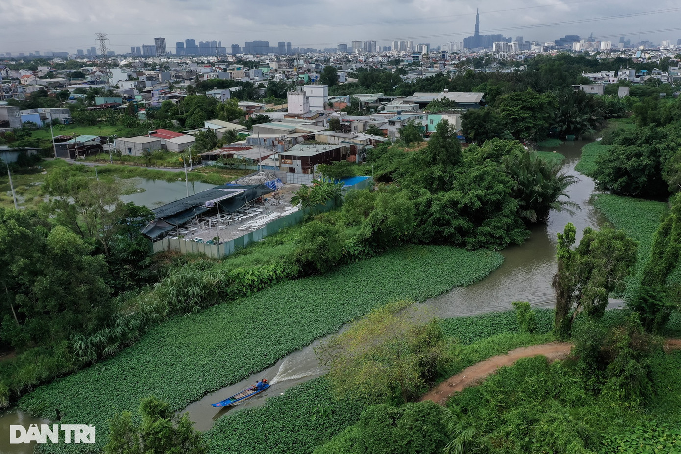 Không chỉ làm nghề nhặt rau muống thuê, một số hộ dân sinh sống cạnh rạch Dừa còn tận dụng con rạch này để trồng rau bán cho các thương lái, chợ.