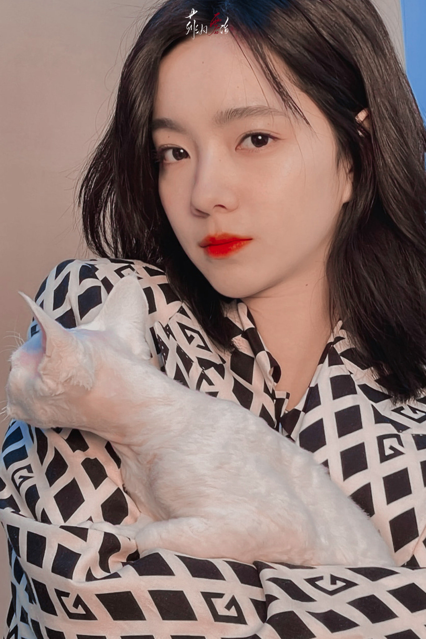 Nội dung Xạ điêu anh hùng truyện: hiệp chi đại giả là câu chuyện Quách Tĩnh cùng các anh hùng đánh thành Tương Dương. Dưới sự lãnh đạo của Thành Cát Tư Hãn, đại quân Mông Cổ tiến về phía Tây phạt Kim, xuống phía Nam diệt Tống. Các cao thủ Trung Nguyên cũng tham gia giao chiến. Quách Tĩnh đại diện cho tinh thần nghĩa hiệp, vì nước vì dân, tập kết lực lượng võ lâm Trung Nguyên quyết chiến đấu để giữ thành Tương Dương. Nội dung Xạ điêu anh hùng truyện: hiệp chi đại giả là câu chuyện Quách Tĩnh cùng các anh hùng đánh thành Tương Dương. Dưới sự lãnh đạo của Thành Cát Tư Hãn, đại quân Mông Cổ tiến về phía Tây phạt Kim, xuống phía Nam diệt Tống. Các cao thủ Trung Nguyên cũng tham gia giao chiến. Quách Tĩnh đại diện cho tinh thần nghĩa hiệp, vì nước vì dân, tập kết lực lượng võ lâm Trung Nguyên quyết chiến đấu để giữ thành Tương Dương.