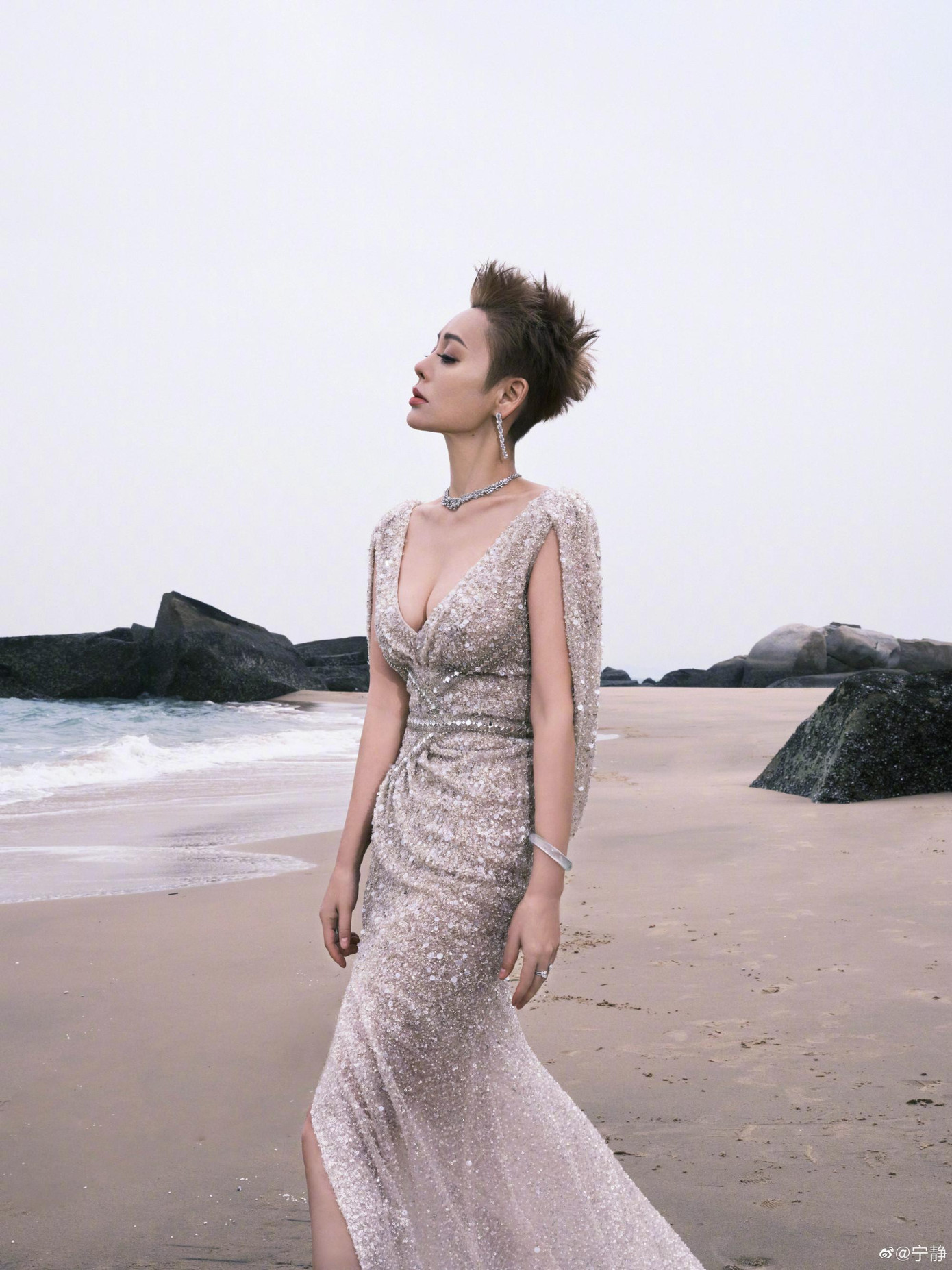 Cô được ca tụng là một trong những mỹ nhân cổ trang hàng đầu của C-biz. Nổi bật nhất là vai Triệu Cơ trong "Lã Bất Vi", Điêu Thuyền trong "Tào Tháo và nàng Sái Văn Cơ"... Cô còn được mệnh danh là "Điêu Thuyền đẹp nhất màn ảnh". Những năm qua, Ninh Tịnh thay đổi hình tượng thành "soái tỷ", "nữ cường nhân" với mái tóc ngắn cá tính.