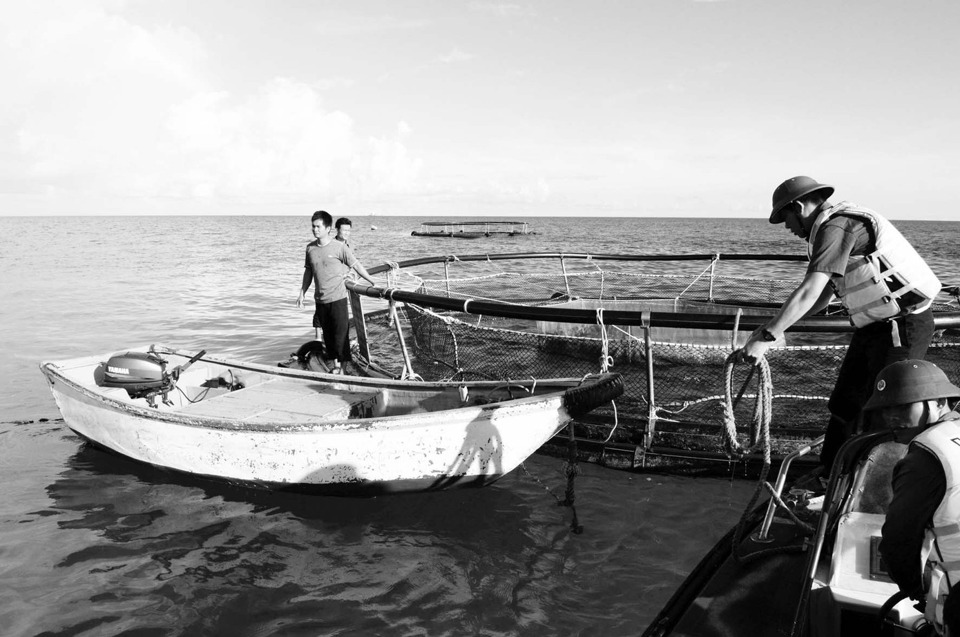 Nuôi cá lồng trên đảo Đá Tây