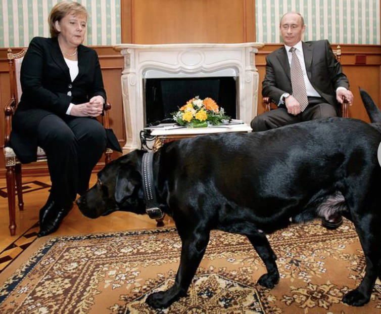 Con chó Koni có mặt trong cuộc Tổng thống Nga Vladimir Putin tiếp Thủ tướng Đức Angela Merkel năm 2007. (Ảnh: Getty) Con chó Koni có mặt trong cuộc Tổng thống Nga Vladimir Putin tiếp Thủ tướng Đức Angela Merkel năm 2007. (Ảnh: Getty)
