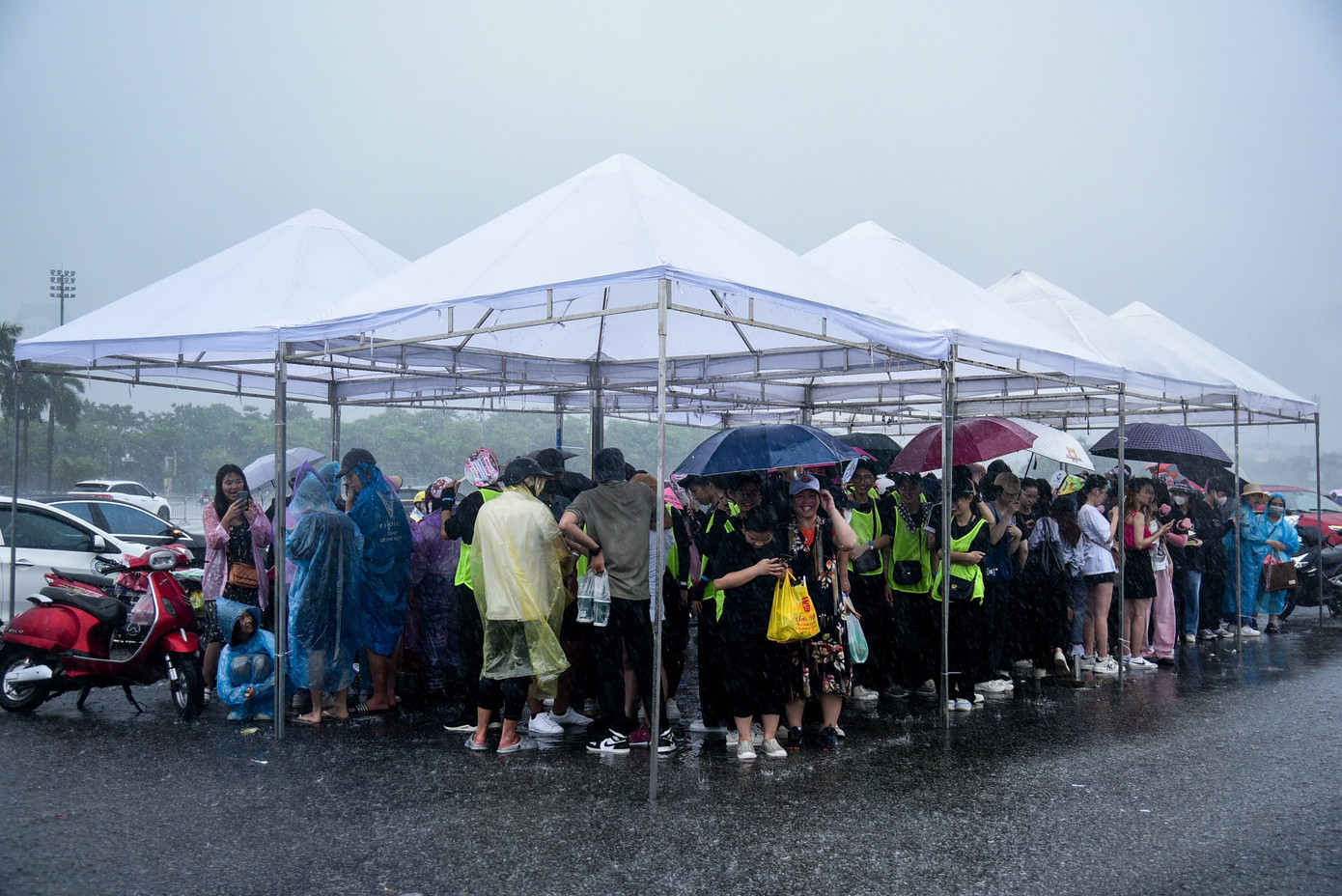 Mưa trắng trời không cản được người hâm mộ BlackPink có mặt tại Mỹ Đình từ sáng. Mưa trắng trời không cản được người hâm mộ BlackPink có mặt tại Mỹ Đình từ sáng.