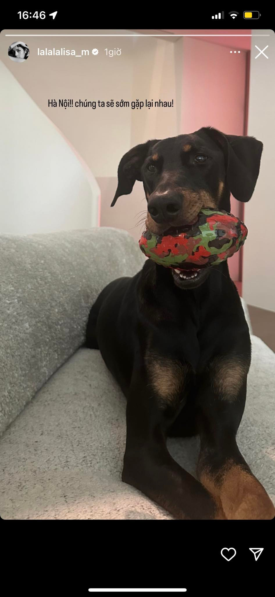 Lisa viết tiếng Việt để nhắn nhủ đến fan. Lisa viết tiếng Việt để nhắn nhủ đến fan.