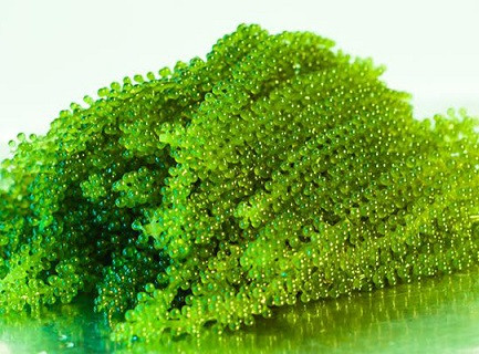 Những 'siêu thực phẩm' rẻ tiền chống ung thư cực tốt ảnh 1