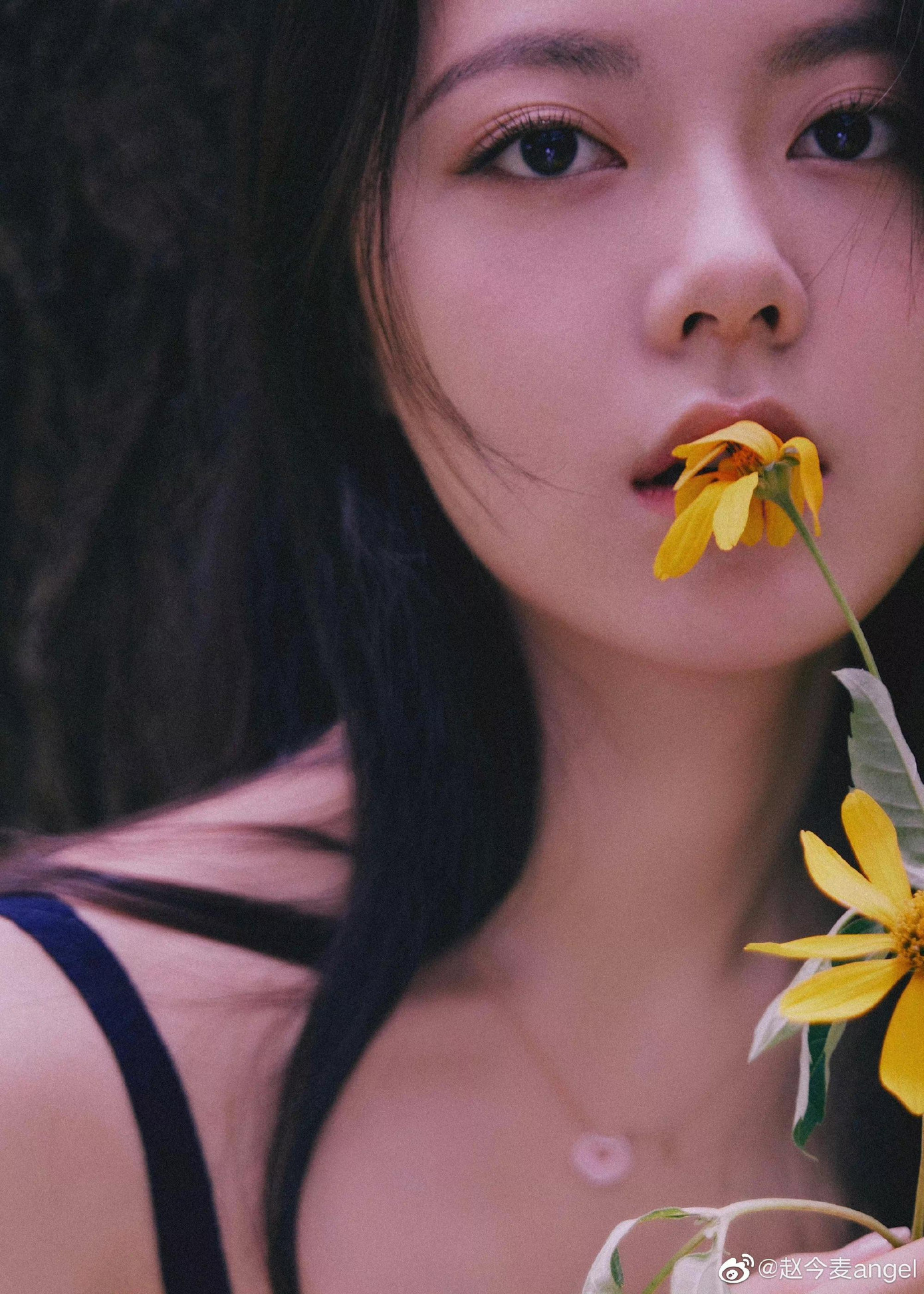 Nhan sắc trong sáng, thuần khiết tựa mối tình đầu của Triệu Kim Mạch ở tuổi 20.