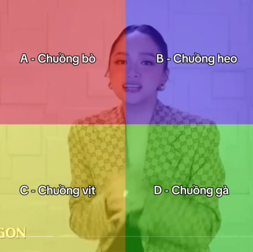 Nhiều nghệ sĩ bắt đầu "đu trend" trắc nghiệm 4 màu. Ảnh: TikTok Hương Giang