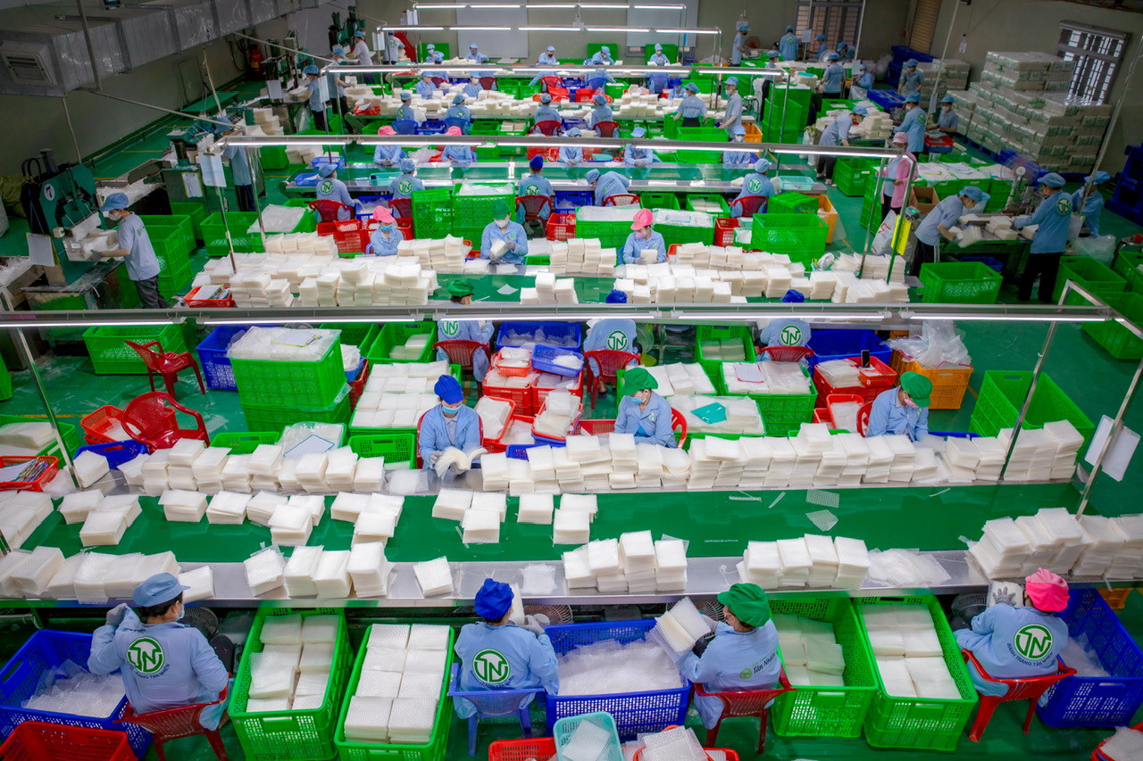 Bánh tráng từ củ sắn mì xuất khẩu ra thế giới