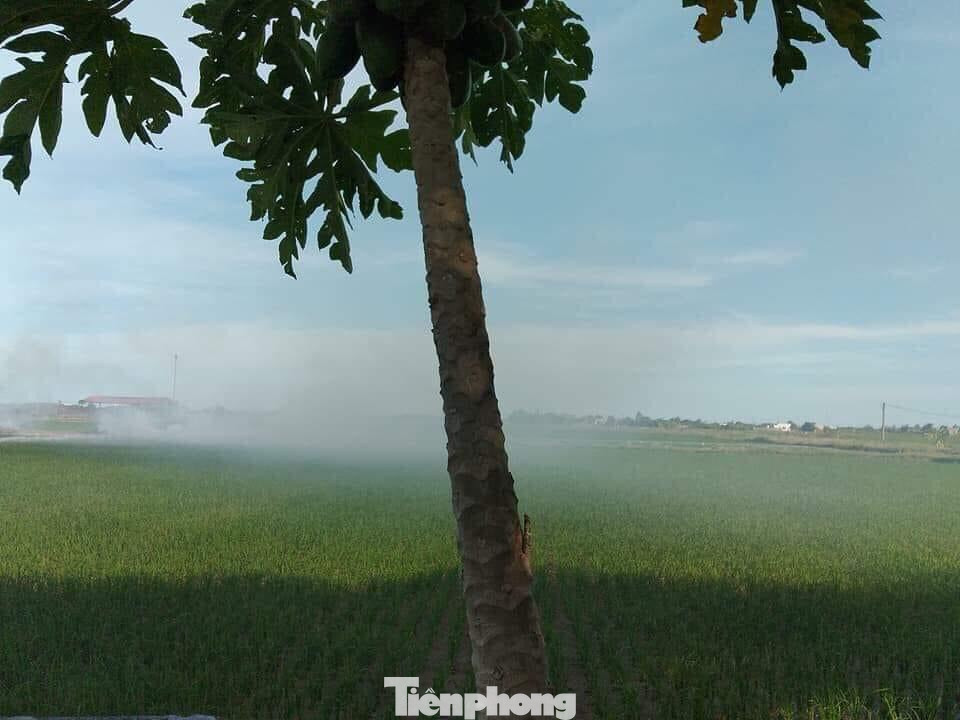 Khói từ nhà máy đốt rác bay qua cánh đồng, vào các nhà dân