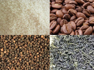 Kim ngạch xuất khẩu nông lâm thuỷ sản tháng 12 ước đạt 2,31 tỷ USD, đưa giá trị xuất khẩu của ngành năm 2013 lên 27,469 tỷ USD, tăng 0,7% so với năm 2012. Kim ngạch xuất khẩu nông lâm thuỷ sản tháng 12 ước đạt 2,31 tỷ USD, đưa giá trị xuất khẩu của ngành năm 2013 lên 27,469 tỷ USD, tăng 0,7% so với năm 2012