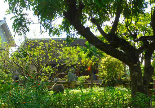 Đại gia Hà thành góp tiền xây resort… để chơi ảnh 4