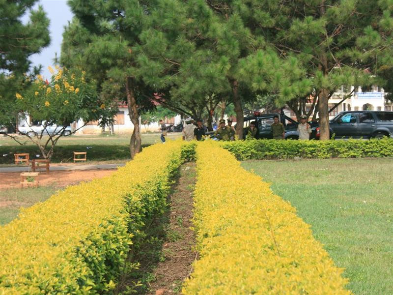 Luôn có đội bảo vệ cho đoàn thanh niên Việt Nam từ đằng xa Luôn có đội bảo vệ cho đoàn thanh niên Việt Nam từ đằng xa