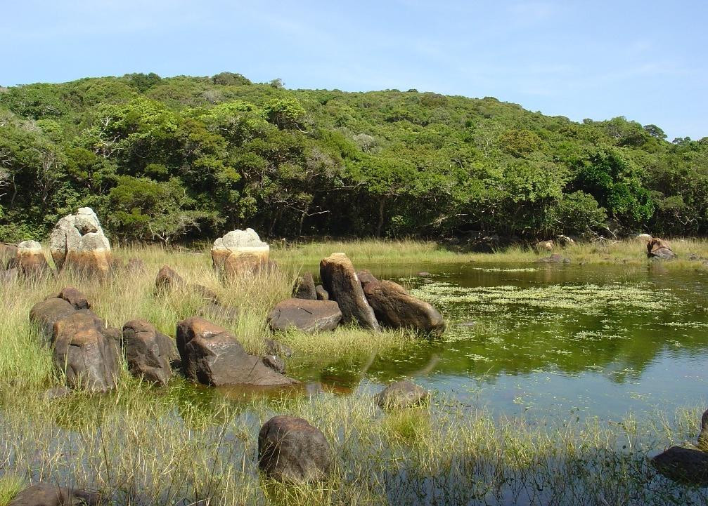Cảnh sắc hoang sơ trong Khu dự trữ sinh quyển thế giới Núi Chúa. Ảnh VŨ ĐIỆP. Cảnh sắc hoang sơ trong Khu dự trữ sinh quyển thế giới Núi Chúa. Ảnh VŨ ĐIỆP.