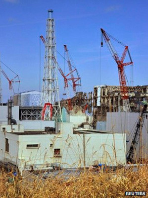 Cỏ dại quanh nhà máy Fukushima Ảnh: Reuters
