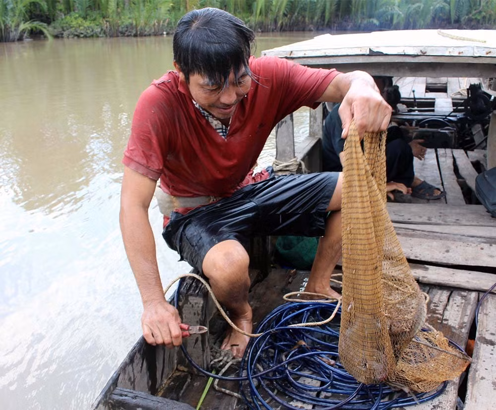 'Quái ngư' miền Tây, liều mình săn cá độc 'đau thấu trời xanh' ảnh 3