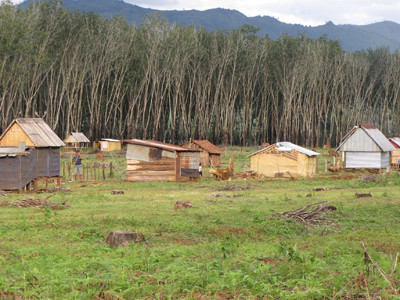 Lều trại của dân lấn chiếm đất