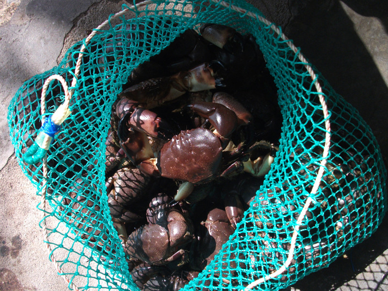 Diêu đang thành đặc sản