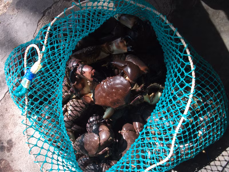 Diêu đang thành đặc sản