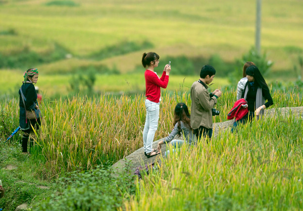 Trên mảnh đất vùng cao Mù Cang Chải, Yên Bái, vẻ đẹp của những thửa ruộng bậc thang uốn lượn uyển chuyển, tạo nên một kỳ quan làm say lòng khách phương xa.