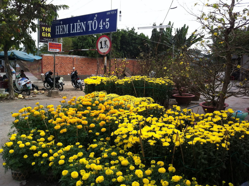 Chợ hoa vỉa hè vắng khách chiều 7-2