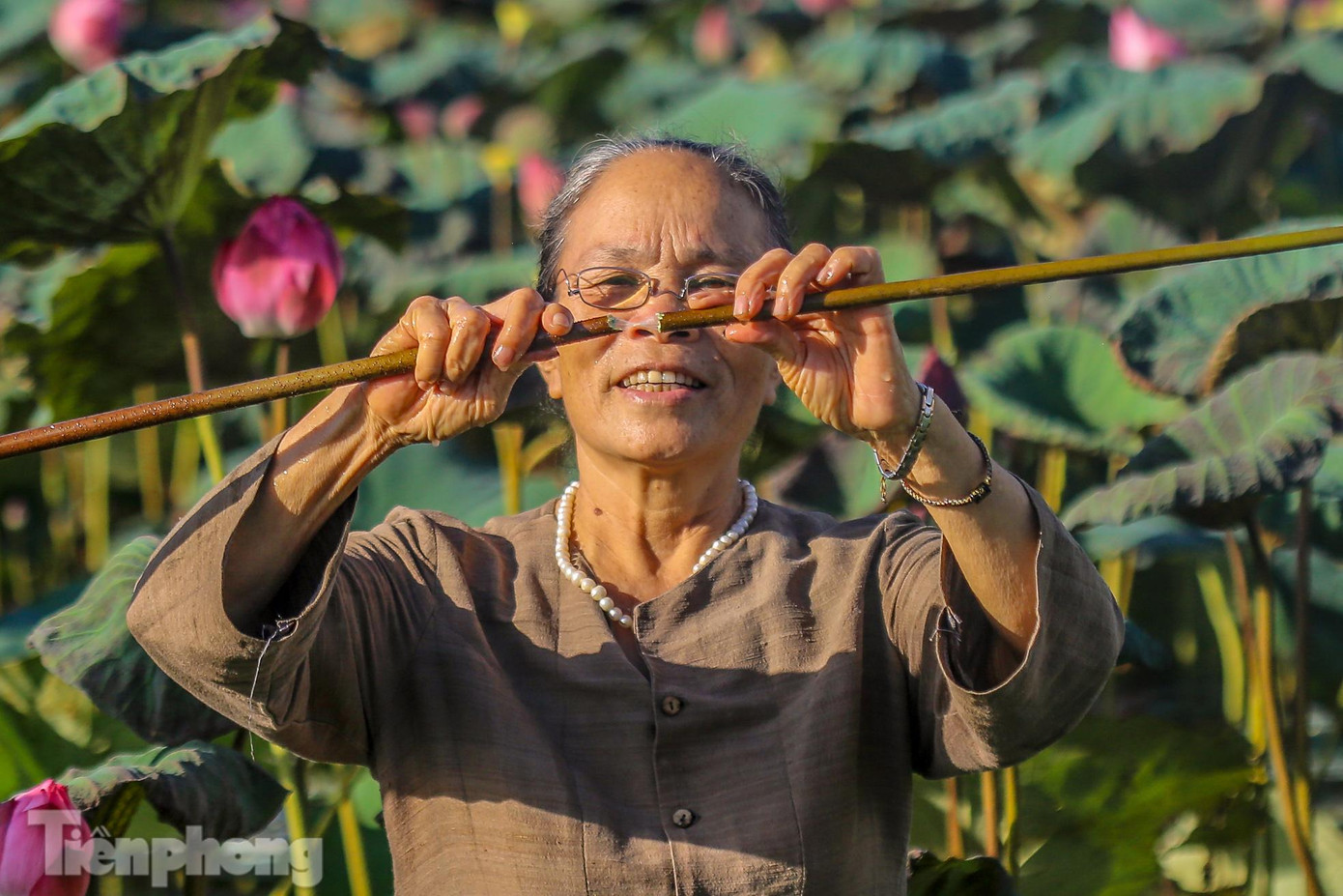 Năm 2017, bà Thuận đã bắt đầu bắt tay vào việc thử nghiệm lấy tơ từ những cuống sen. Trải qua nhiều thử thách, khó khăn, cuối cùng bà đã thành công với sản phẩm đầu tiên là ba chiếc khăn được nguyên Thủ tướng Nguyễn Xuân Phúc mang tới Hội nghị Thượng đỉnh G20 để làm quà tặng. Năm 2017, bà Thuận đã bắt đầu bắt tay vào việc thử nghiệm lấy tơ từ những cuống sen. Trải qua nhiều thử thách, khó khăn, cuối cùng bà đã thành công với sản phẩm đầu tiên là ba chiếc khăn được nguyên Thủ tướng Nguyễn Xuân Phúc mang tới Hội nghị Thượng đỉnh G20 để làm quà tặng.