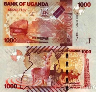 Săn tiền mới lì xì qua mạng ảnh 1