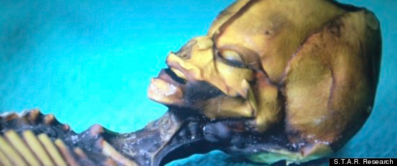 Người ngoài hành tinh có khuôn mặt khá giống con người