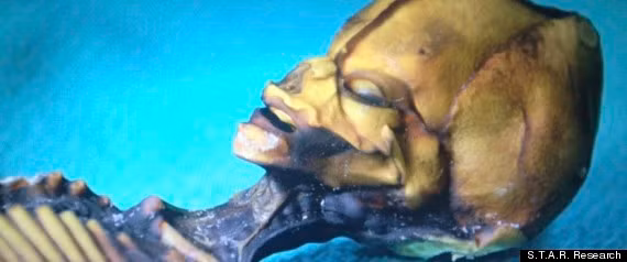 Người ngoài hành tinh có khuôn mặt khá giống con người