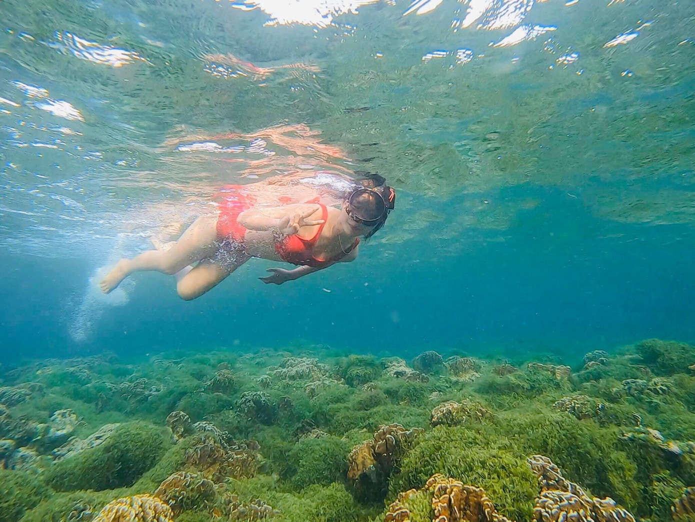 Du khách cũng có thể trải nghiệm ngắm rạn san hô dưới đáy biển. Ảnh: Internet Du khách cũng có thể trải nghiệm ngắm rạn san hô dưới đáy biển. Ảnh: Internet