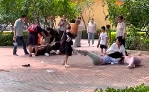 Khung cảnh hỗn loạn ngay trong sở thú bị nhiều loài động vật chứng kiến. (Nguồn: Internet)