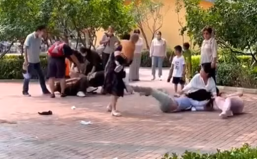 Khung cảnh hỗn loạn ngay trong sở thú bị nhiều loài động vật chứng kiến. (Nguồn: Internet)