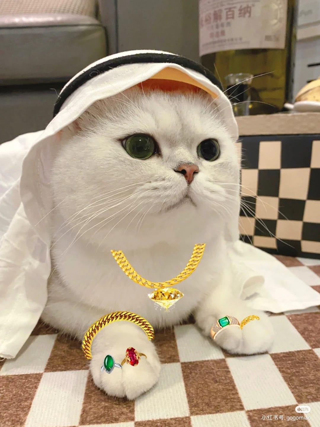 Không chỉ "con sen" mà các "hoàng thượng" cũng tham gia cosplay "Hoàng tử". Nguồn: Weibo Không chỉ "con sen" mà các "hoàng thượng" cũng tham gia cosplay "Hoàng tử". Nguồn: Weibo