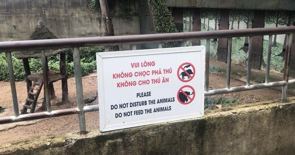 Dù biển báo được treo khắp các vườn thú nhưng vài người vẫn cố lờ đi. (Nguồn: Internet)