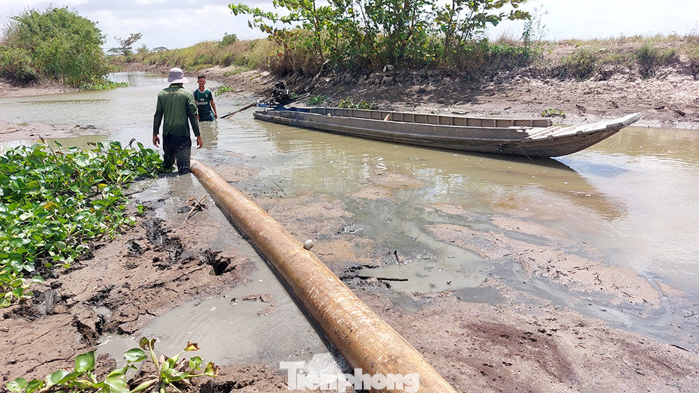 Tại nhiều địa phương khác của miền Tây, như Tiền Giang, Bến Tre, Sóc Trăng, Trà Vinh, Kiên Giang... cũng thiếu nước ngọt nghiêm trọng cung cấp cho hệ thống kênh mương nội đồng phục vụ sản xuất của nông dân.