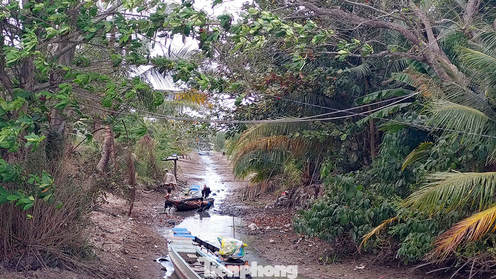 Hệ thống kênh nội đồng tại Sóc Trăng đã không còn nước để ghe, xuồng của người dân đi lại.