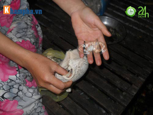 2 gói dung dịch màu trắng chứa 6 viên thuốc trong áo ngực Trung Quốc. 2 gói dung dịch màu trắng chứa 6 viên thuốc trong áo ngực Trung Quốc