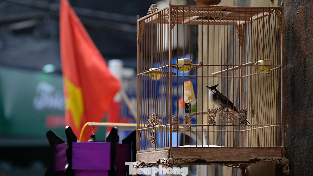 Thậm chí khi đi bộ tại đây vào buổi sáng cuối tuần, bạn có thể bắt gặp những khoảnh khắc bình yên của những ngày giáp Tết. Thậm chí khi đi bộ tại đây vào buổi sáng cuối tuần, bạn có thể bắt gặp những khoảnh khắc bình yên của những ngày giáp Tết.