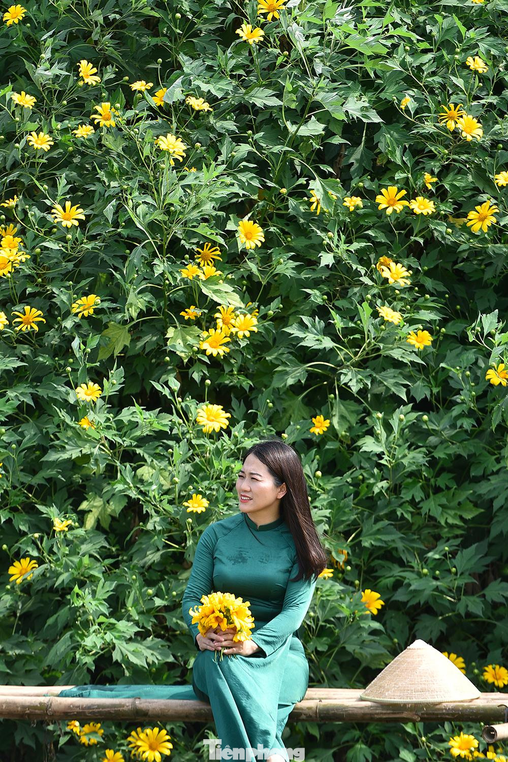 Thời gian này, hoa dã quỳ đang nở rộ, thu hút hàng nghìn lượt khách đến tham quan và chụp ảnh.