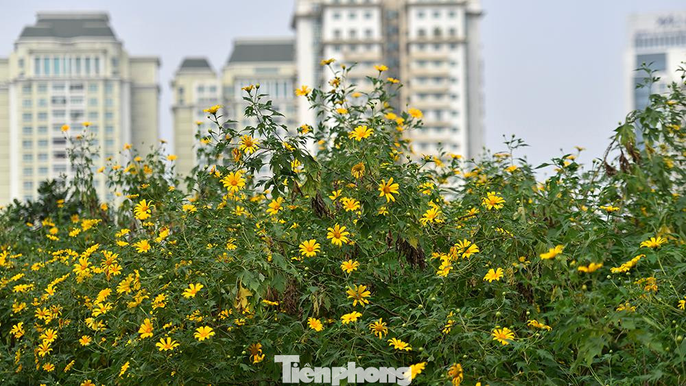 Địa chỉ này còn được biết đến khi mùa sen nở, hàng ngày có hàng trăm người đến chụp hình và ngắm cảnh.