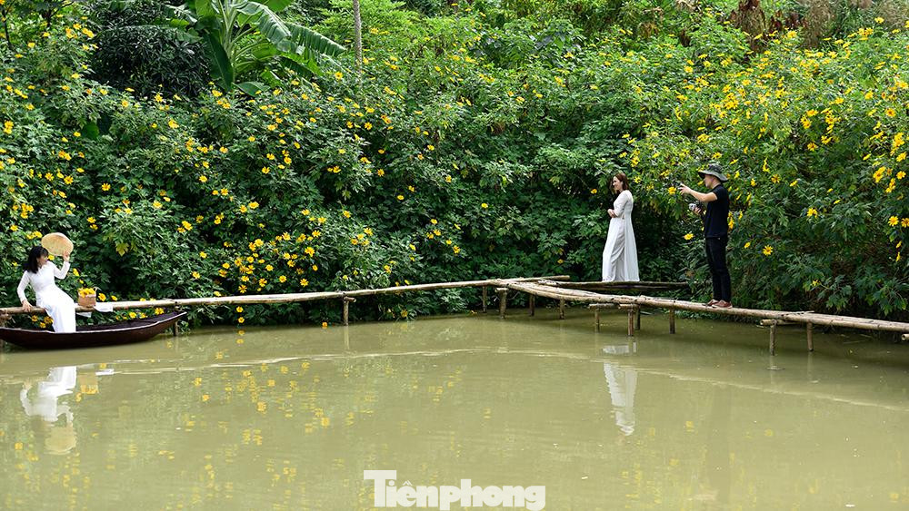 Nhiều năm trước, để chụp ảnh bên vườn hoa dã quỳ, nhiều người phải cất công vào tận Đà Lạt hay lên Vườn Quốc gia Ba Vì mới được trải nghiệm cảm giác đứng giữa rừng hoa nở vàng rực này.
