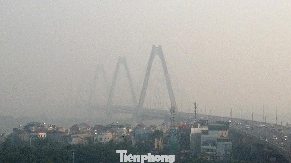 Diễn biến nồng độ bụi trong không khí cũng thay đổi theo quy luật trong ngày, thể hiện rõ nhất tại các khu vực gần trục giao thông. Nồng độ bụi tăng cao vào các giờ cao điểm giao thông, giảm xuống thấp nhất vào giữa trưa và đêm.