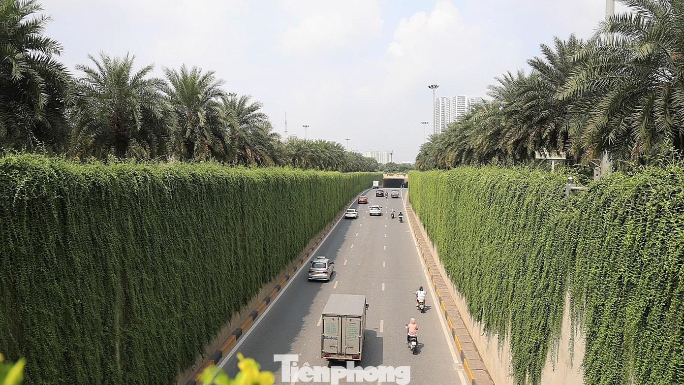 Hầm chui đầu Đại lộ Thăng Long xanh mướt với màu xanh của cây cảnh và dây leo vùng nhiệt đới.