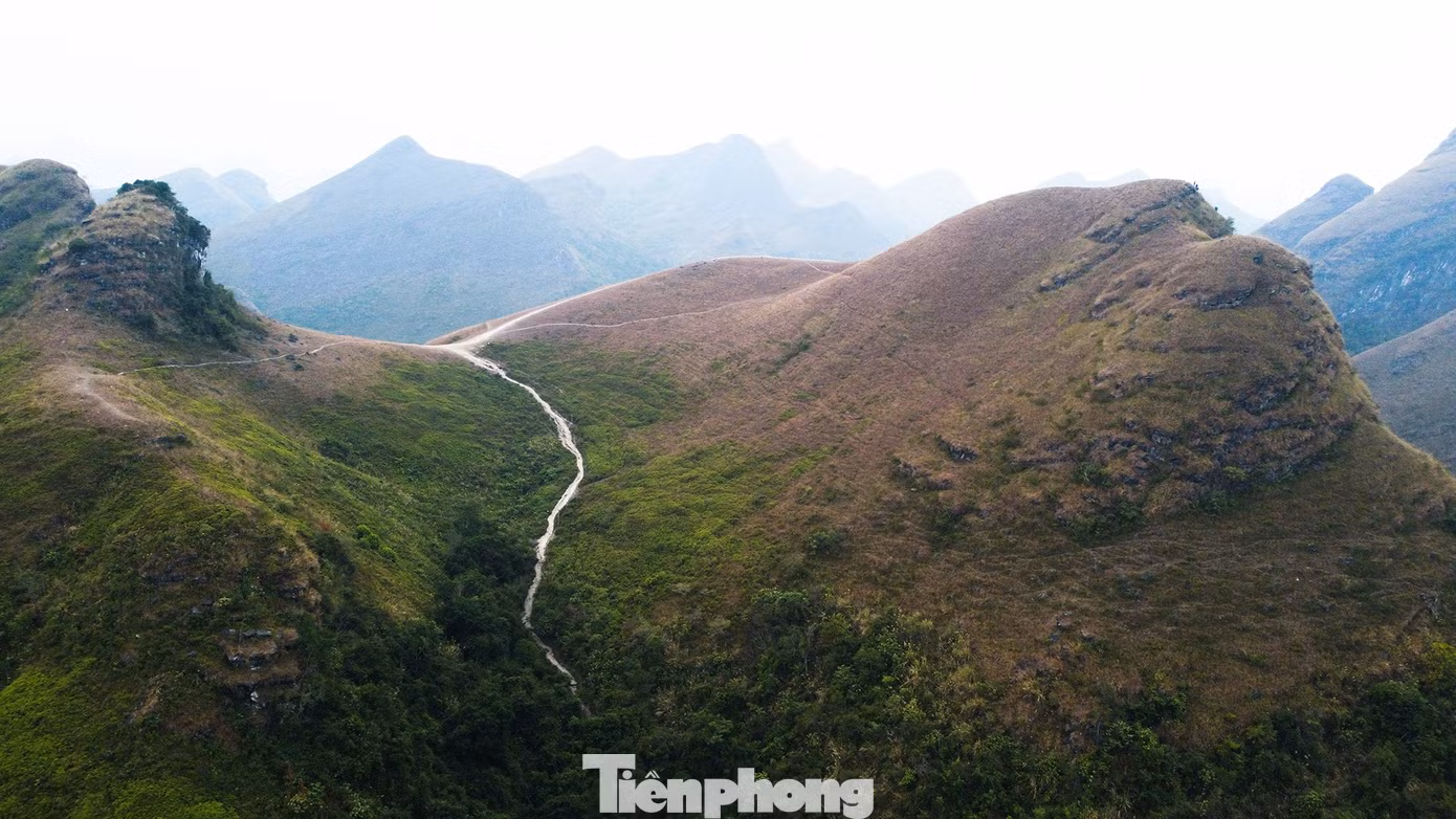 Trên hệ thống bản đồ chỉ đường, khu vực này được hiển thị Đồi cỏ cháy Vinh Quý. Theo người dân địa phương, tên gọi "Ba Quáng" là tiếng của người đồng bào sinh sống nơi đây có nghĩa là đồi cỏ vai rộng.