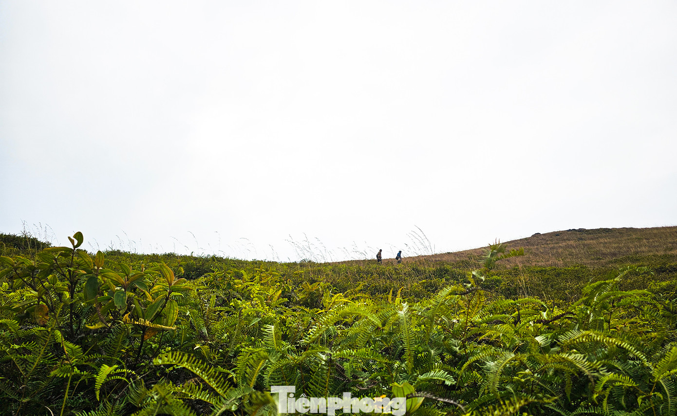 Đồi cỏ Ba Quáng được biết đến với hai mùa khá rõ, đó là mùa cỏ xanh non và mùa cỏ cháy. Hằng năm, từ tháng 5 đến tháng 10, nơi đây là một màu xanh bất tận với những thảm cỏ xanh mướt, trải dài bao phủ.