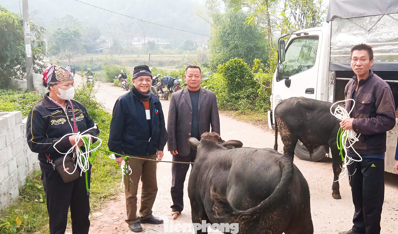 Bàn giao trâu bò cho các hộ nghèo ở thành phố Thái Nguyên. Bàn giao trâu bò cho các hộ nghèo ở thành phố Thái Nguyên.