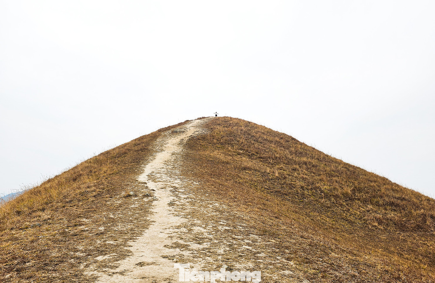 Ở vị trí cao nhất quả đồi, dù phải đi bộ, nhiều du khách vẫn không ngại leo lên đến đỉnh. Khi trời có nắng, khoảng khắc đón hoàng hôn được chờ đợi nhất.