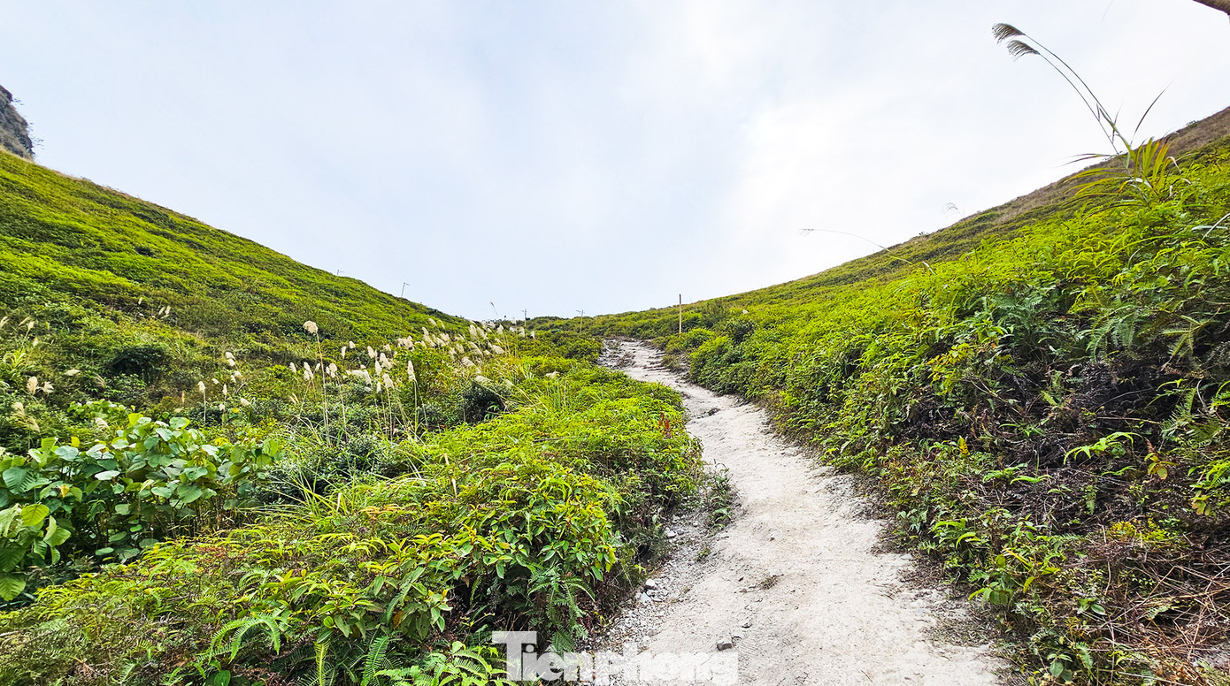 Từ chân đồi, du khách leo bộ trên đoạn đường đất dốc trong khoảng 15-20 phút để đến được lưng đồi.